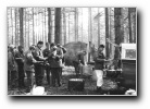 [Click to enlarge image]