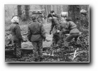 [Click to enlarge image]
