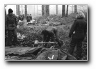[Click to enlarge image]