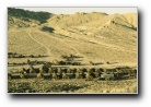 [Click to enlarge image]