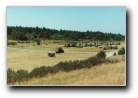[Click to enlarge image]