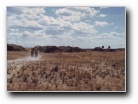 [Click to enlarge image]