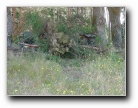 [Click to enlarge image]