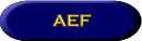 Air Expeditionary Force