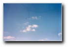 [Click to enlarge image]