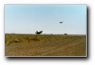 [Click to enlarge image]